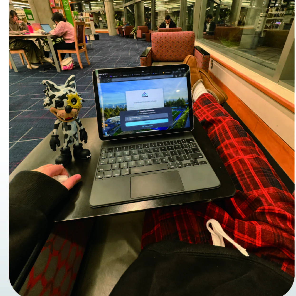 WOWNNY companion by a laptop in a library or work lounge
